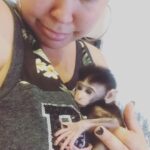 baby Java Macaque monkeys