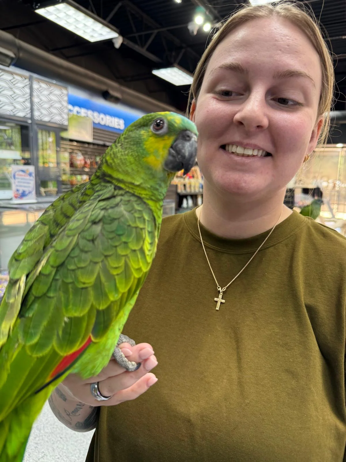 Buy Exotic Birds For Sale
